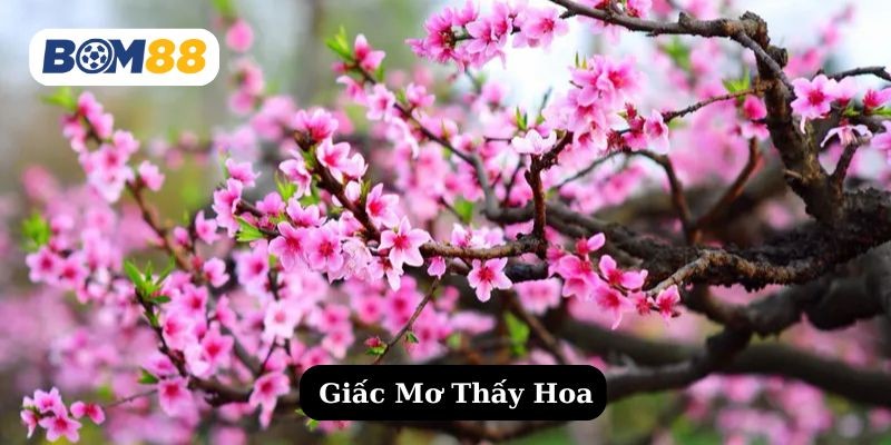 BOM88 Mơ thấy hoa đánh con gì dễ trúng lô ? Giải mã giấc mơ cùng Bom88