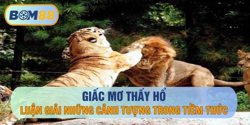 BOM88 Giấc mơ thấy hổ - Luận giải những cảnh tượng trong tiềm thức tại nhà cái BOM88