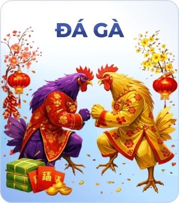 BOM88 Đá gà