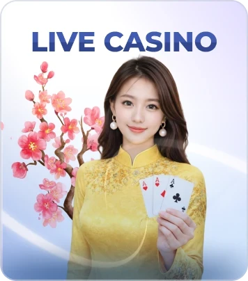 BOM88 Live Casino