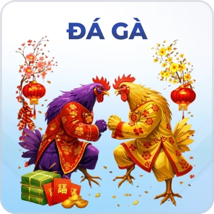 BOM88 Đá gà